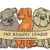The Biggies' League Rescue